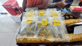 Produk Olahan Ikan dari UMKM Kabupaten Banjar. Foto: ERV Pro1.ID