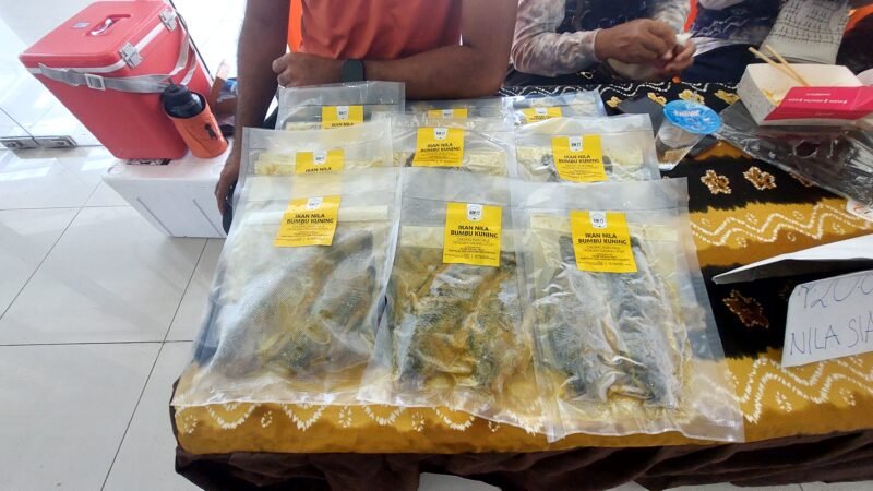 Produk Olahan Ikan dari UMKM Kabupaten Banjar. Foto: ERV Pro1.ID