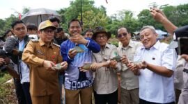 Panen Ikan Papuyu di kolam milik Kelompok Pembudidaya Ikan (Pokdatan) Tabulihin, Desa Karang Intanpanen ikan papuyu di kolam milik Kelompok Pembudidaya Ikan (Pokdatan) Tabulihin Desa Karang Intan. Foto: MC Banjar