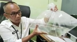 Plt Kabid Perikanan Tangkap DKPP Banjar, Bandi Chairullah