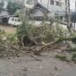 Pohon tumbang di jalan albasiah