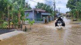 Desa Telok Selor Ulu terendam air