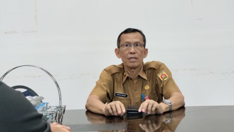 Rizana Mirza, Asisten I Bidang Pemerintahan dan Kesejahteraan Rakyat Sekretariat Daerah Kota Banjarbaru