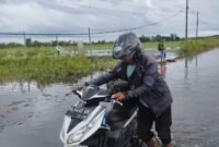 Kondisi di Desa Keramat Baru terendam banjir