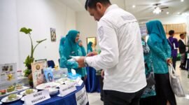 Balangan Tingkatkan Konsumsi Ikan dan Cegah Stunting ( Foto : Infopublik)