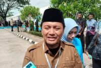 Wakil Gubernur Kalimantan Selatan, Hasnuryadi Sulaiman