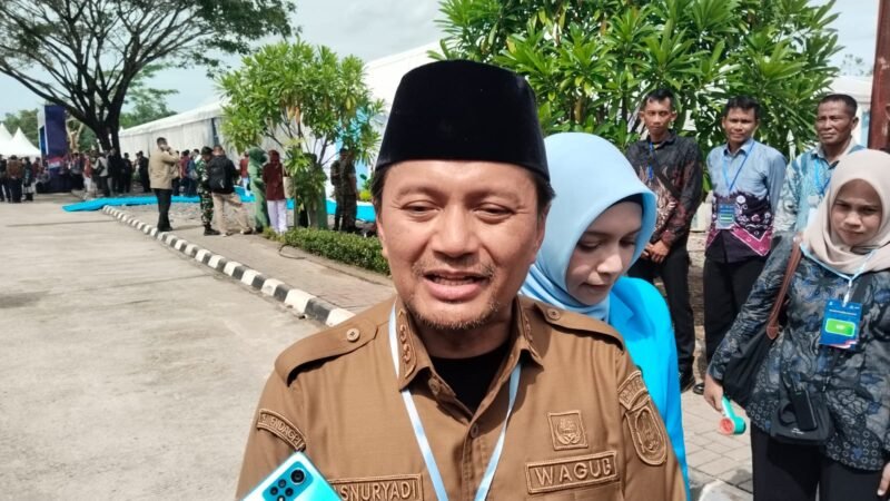 Wakil Gubernur Kalimantan Selatan, Hasnuryadi Sulaiman