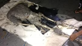 Foto : Polsek Pulau Sembilan