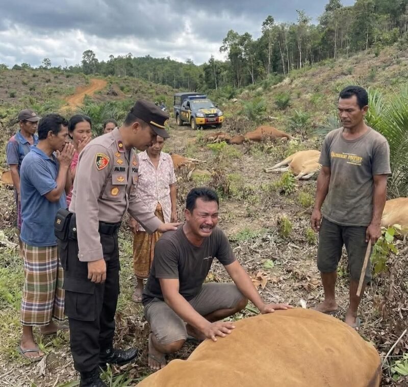 Salah satu gambar yang beredar (Foto : Istimewa)