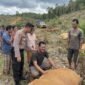 Salah satu gambar yang beredar (Foto : Istimewa)