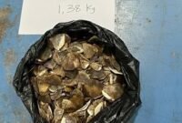 FOTO : KEMENTERIAN KEHUTANAN