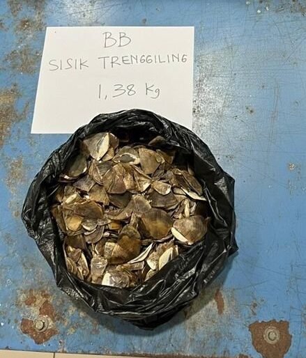 FOTO : KEMENTERIAN KEHUTANAN